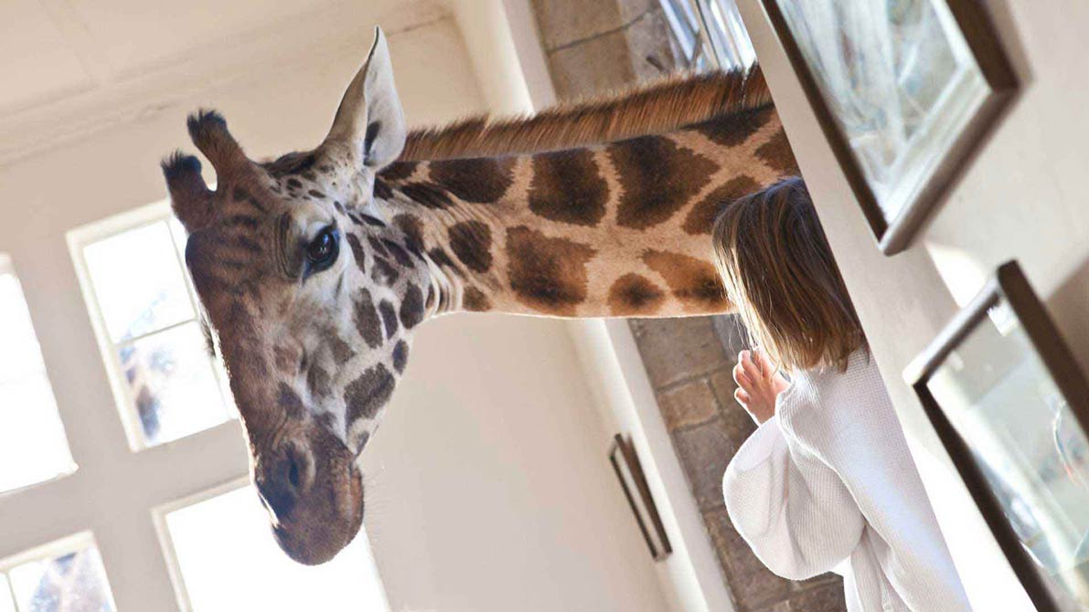 Realmomster Design Peeks Giraffe Manor Kenya