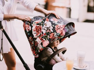 Realmomster Cybex Spring Blossom Limited Edition