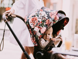 Realmomster Cybex Spring Florals